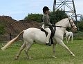 IMG_1293